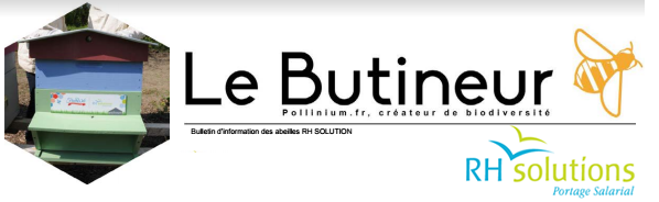 suivi du projet abeille de rh solutions